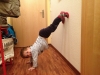 2012-01_Nikolai - 4