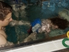 2012-06_Schwimmen 7