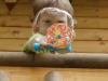 2012-07_Wandlitz 21