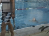 2012-09_schwimmen-seepferdchen-14