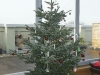 2012-12_weihnachten-011