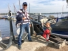 2015-10_Wannseeloewe Motorboot-002
