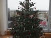 2016-12_Weihnachten-037