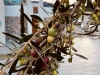 2017-10_Kreta - 7
