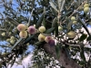 2017-10_Kreta - 8